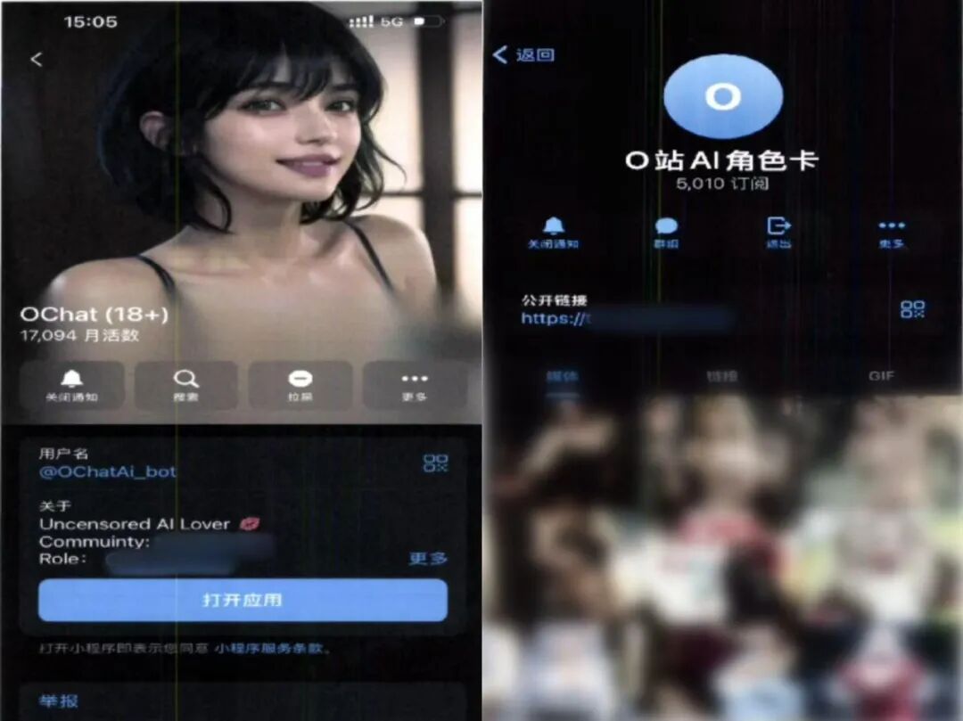 郑某等6人涉嫌制作淫秽物品牟利罪案涉案软件