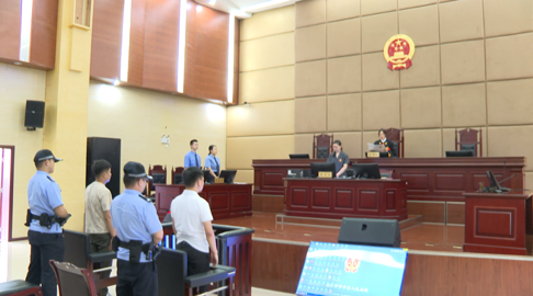 欧某、付某某玩射击类网络游戏相识，一人自学编程开发外挂，一人对接客源销售，2人被判有期徒刑三年